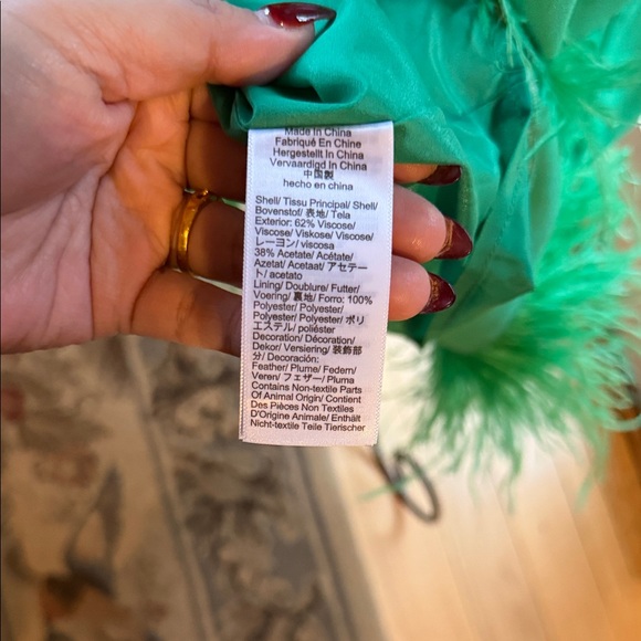 J. Crew Collection Crepe Feather Trim Green Sleeveless Lined Sz M Dress NWT - Picture 9 of 14